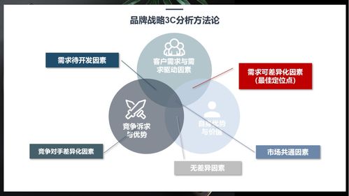 行舟品牌运用3C定位模型助力厨房用品品牌精准定位