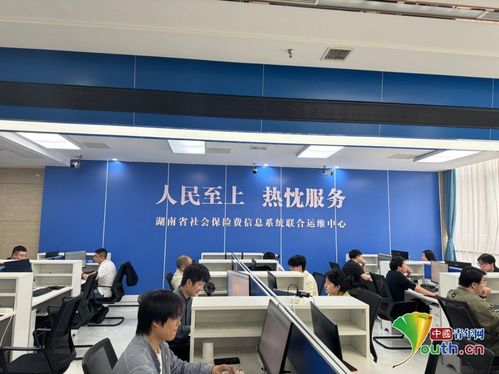 社保联合运维中心 数据不拥堵，群众少跑腿，贸易咨询更便捷