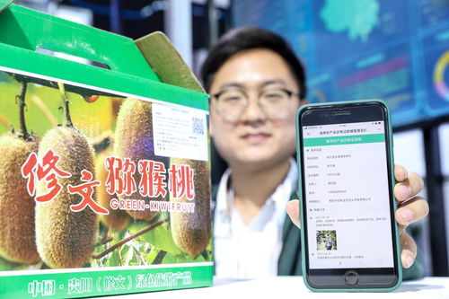 大数据赋能乡村振兴 贸易咨询的新维度与实践路径